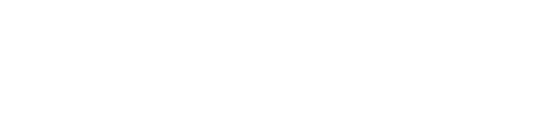 PPP